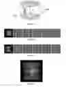 Fig. 02 - Methods and device to constrain multicellular arrangements in stable, stationary and reproducible spatial configuration