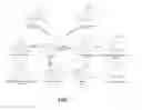 Fig. 02 - METHODS RELATING TO OLANZAPINE PHARMACOGENETICS