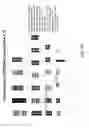 Fig. 08 - Nucleic acid quantitation from tissue slides