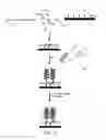 Fig. 22 - Nucleic acid quantitation from tissue slides