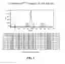 Fig. 06 - Multivalent carriers of bi-specific antibodies