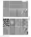 Fig. 02 - Compositions for inducing differentiation into retinal cells from retinal progenitor cells or inducing proliferation of retinal cells comprising Wnt signaling pathway activators