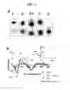 Fig. 02 - DNA-based molecular switches and uses thereof