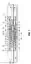 Fig. 06 - Armored electrical connector