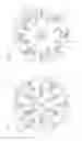 Fig. 07 - Double row abrasive disc