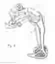 Fig. 02 - Axial fixing device with an integrated end plug