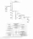 Fig. 10 - Soybean event 3560.4.3.5 and compositions and methods for the identification and/or detection thereof