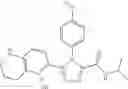 Fig. 49 - Triazole compounds that modulate HSP90 activity