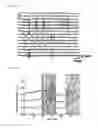 Fig. 09 - Flexible, multi-channel microelectrode for recording laboratory animal EEG and method for recording laboratory animal EEG using the same