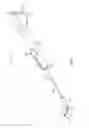 Fig. 02 - Frontal sinus dilation catheter