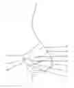 Fig. 01 - NASAL DILATOR WITH VARIABLE SPRING RATE