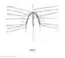 Fig. 06 - NASAL DILATOR WITH VARIABLE SPRING RATE