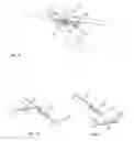 Fig. 45 - Closure system and uses thereof