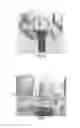 Fig. 04 - Tools for customized design of dental restorations