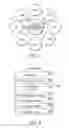 Fig. 02 - Speech recognition and transcription among users having heterogeneous protocols