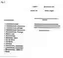 Fig. 09 - Recursive method and system for accessing classification information