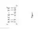Fig. 02 - Software control of hardware accelerated DNA codeword searching