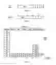 Fig. 04 - Mapping between registers used by multiple instruction sets