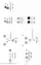 Fig. 09 - Multi-Touch Editing in a Graphical Programming Language