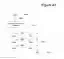Fig. 41 - Poly vectoral reverse navigation