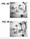 Fig. 06 - Female specific insect expression system