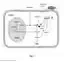 Fig. 02 - METHOD FOR PRODUCING EUKARYOTIC ORGANISMS WITH ENHANCED PATHOGEN RESISTANCE AND/OR RESISTANCE TO STRESS AND EUKARYOTIC TRANSGENIC ORGANISMS WITH ENHANCED PATHOGEN RESISTANCE AND/OR RESISTANCE TO STRESS