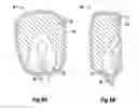 Fig. 07 - Methods for removal of specific seed tissue or structure for seed analysis