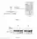 Fig. 02 - Importation of a ribozyme into vegetable mitochondria by a pseudo-tRNA that can be aminoacylated by valine