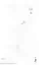 Fig. 06 - HOODED GARMENT