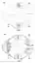 Fig. 05 - NECK PROTECTOR
