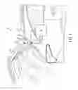 Fig. 02 - Method and apparatus of active dampening a powered closure system