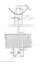 Fig. 01 - Sunlight collector module having a light-guide element and a beam splitting element and a hybrid illumination system having the same