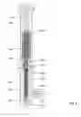 Fig. 09 - Apparatus and method for recovering fluids from a well and/or injecting fluids into a well