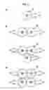 Fig. 05 - TRANSMISSION CABLE AND SIGNAL TRANSMISSION CABLE USING THE SAME