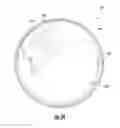Fig. 22 - CONTAINER ASSEMBLY WITH STRAINER