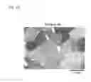 Fig. 06 - Ferrite composition and electronic component