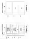 Fig. 06 - Ticket strips with ruler markings that encourage multiple ticket purchasing by length of a ticket strip