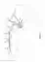 Fig. 02 - Torsion spring system for convertible top