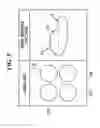 Fig. 06 - Automotive lamp