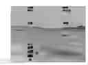 Fig. 07 - Display systems and methods for displaying enhanced vision and synthetic images
