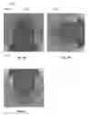 Fig. 04 - Liquid displacement beads in LED bulbs
