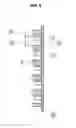 Fig. 09 - LED TRAFFIC LAMP