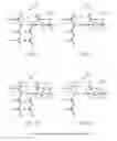 Fig. 06 - Methods and apparatus for sum of address compare write recode and compare reduction