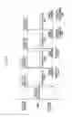 Fig. 15 - Radiographic image capturing system