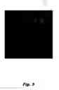 Fig. 06 - Robust watermarking for digital media