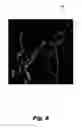 Fig. 07 - Robust watermarking for digital media