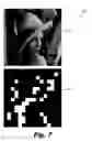 Fig. 08 - Robust watermarking for digital media