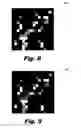 Fig. 09 - Robust watermarking for digital media