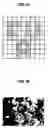 Fig. 02 - Image Processing Method, and Program