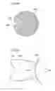 Fig. 09 - Developing device and image forming apparatus